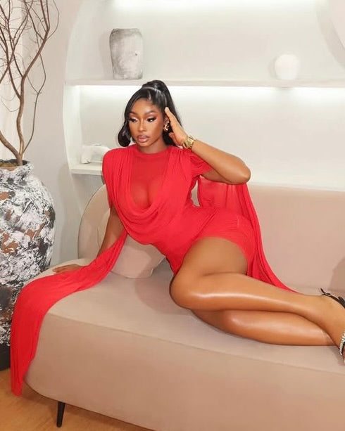 Brainna Sheer Mini Dress Red