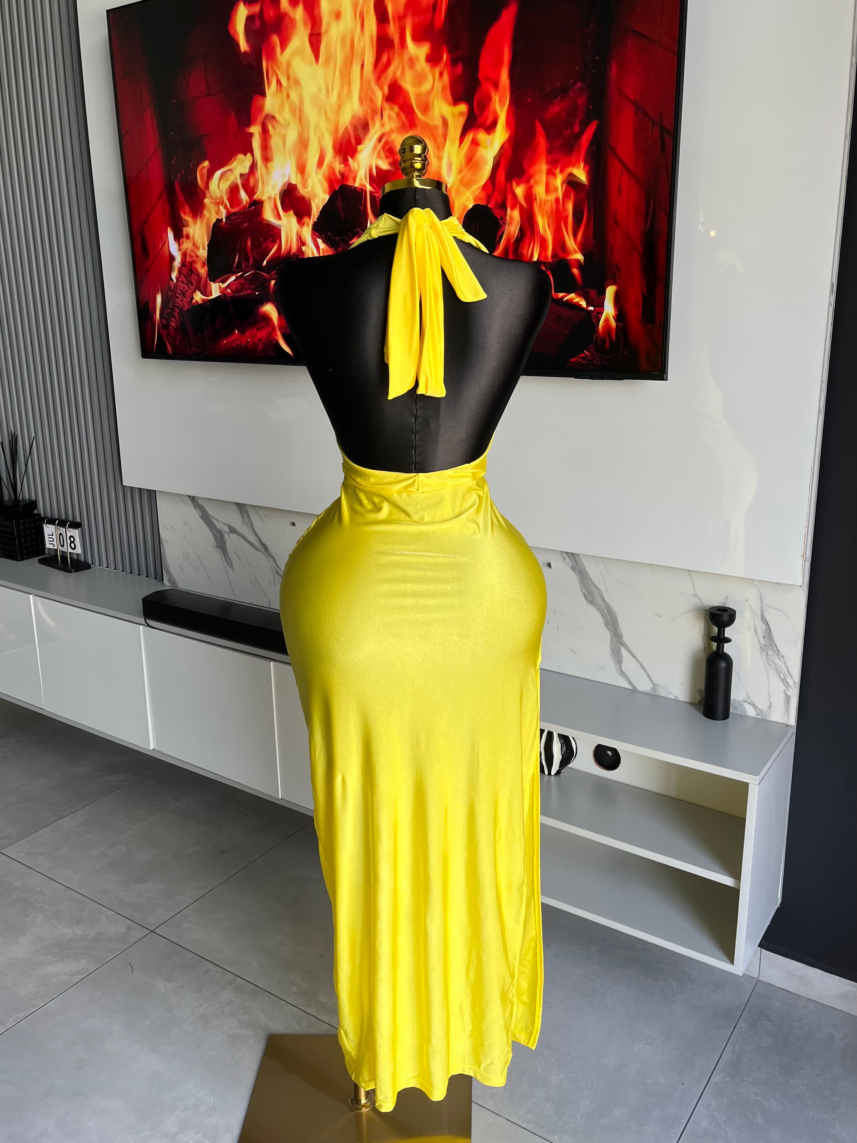 Sylvette Plunge Halter Maxi Gown