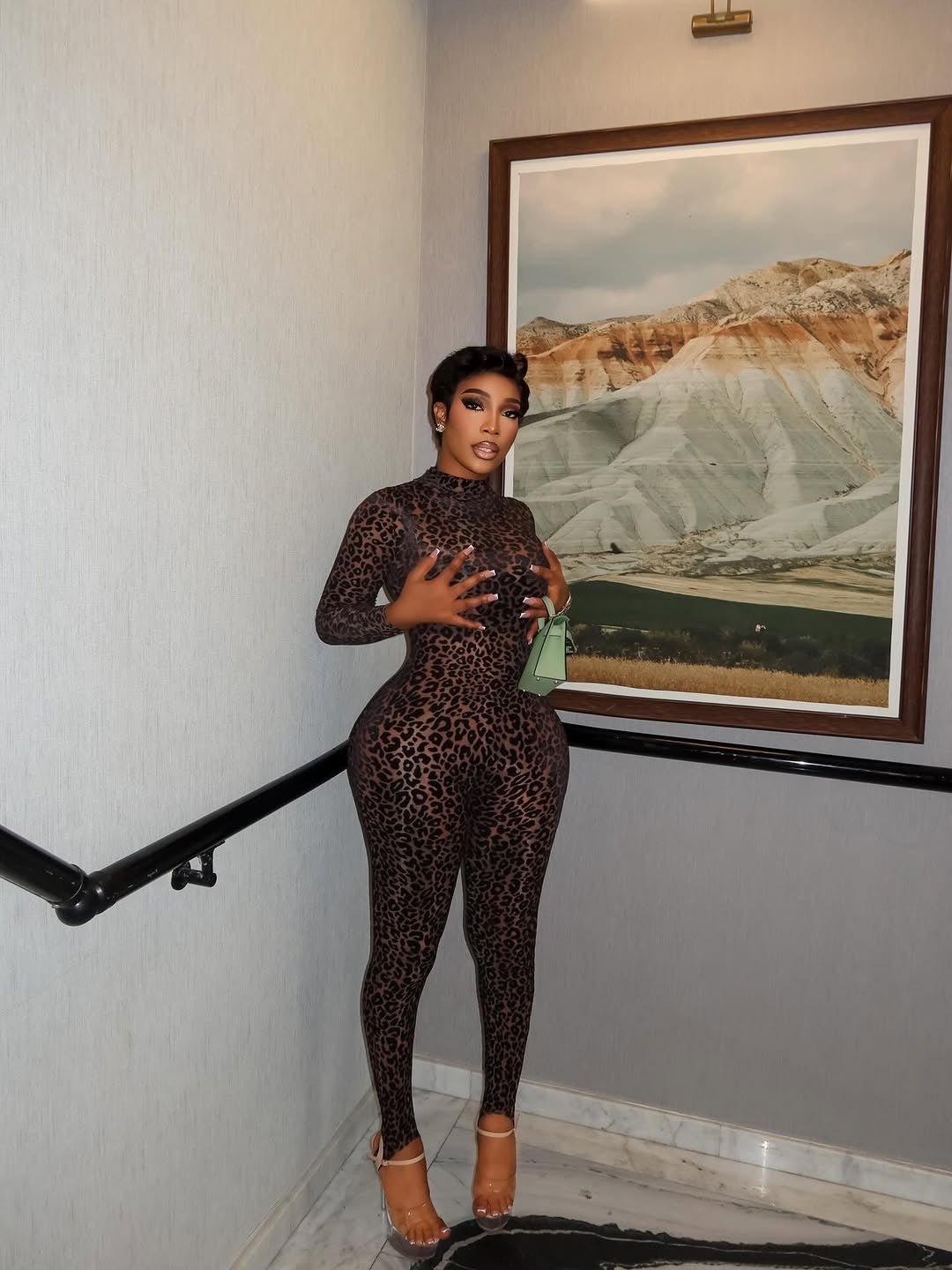 Mirage Leopard Print Mesh Jumpsuit