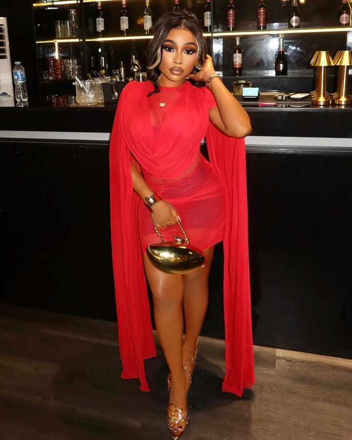 Brainna Sheer Mini Dress Red