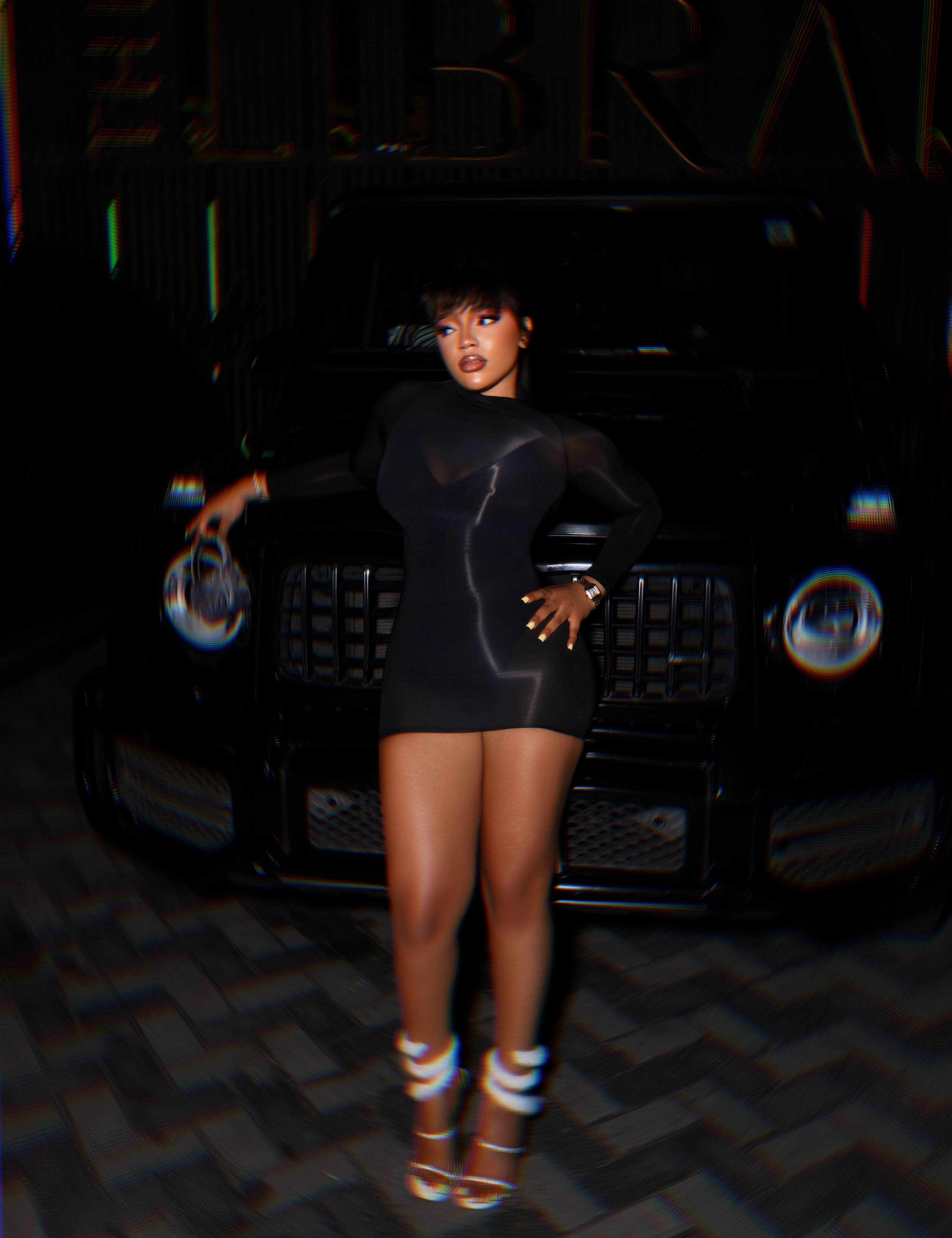 Nyx Sheer Long Sleeve Mini Dress Black