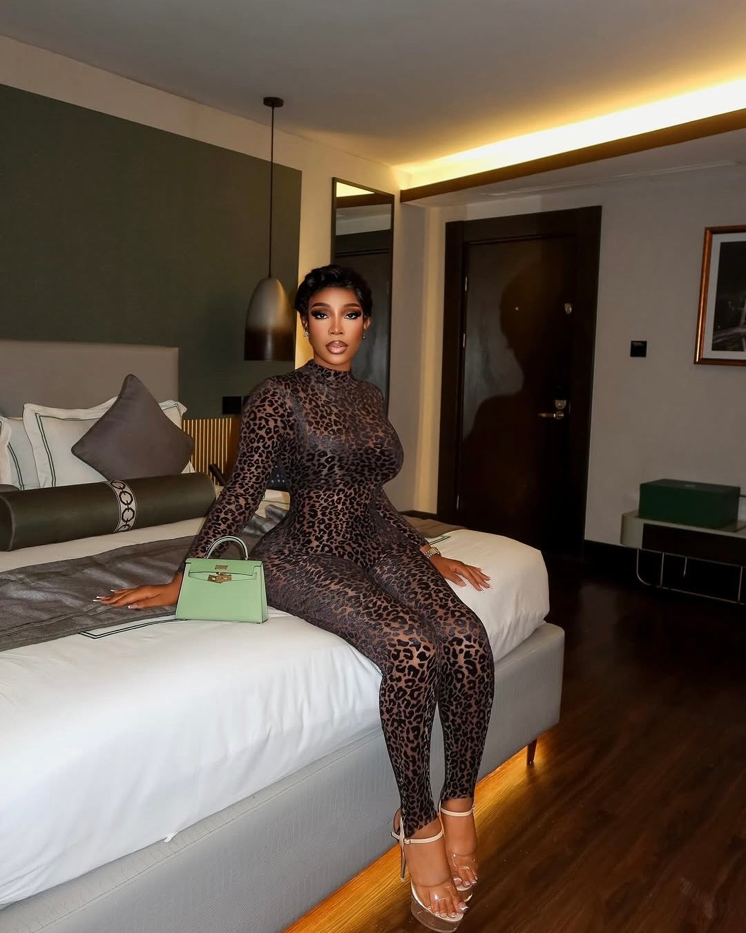 Mirage Leopard Print Mesh Jumpsuit