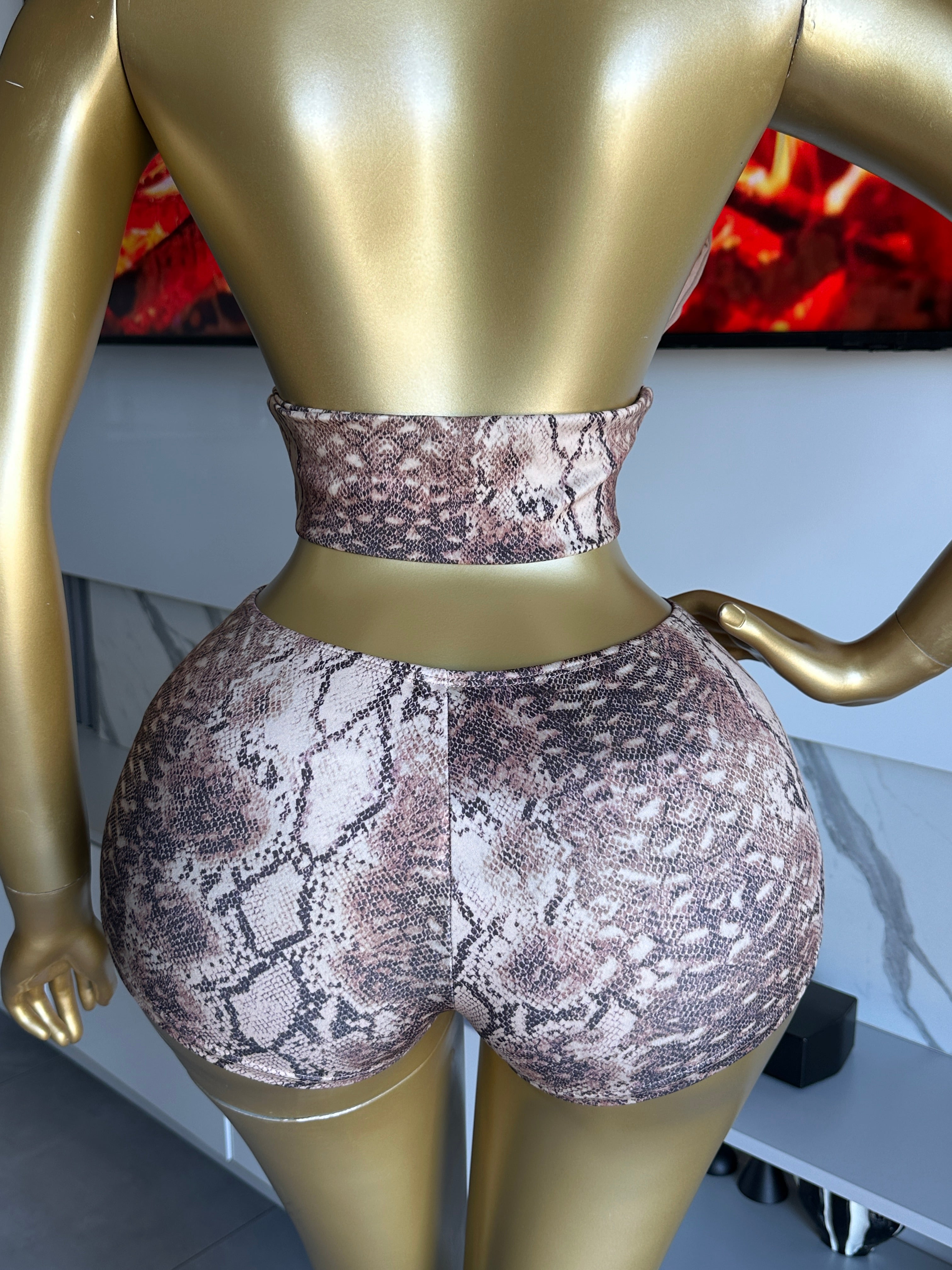 Alee Snake Print Shorts Set
