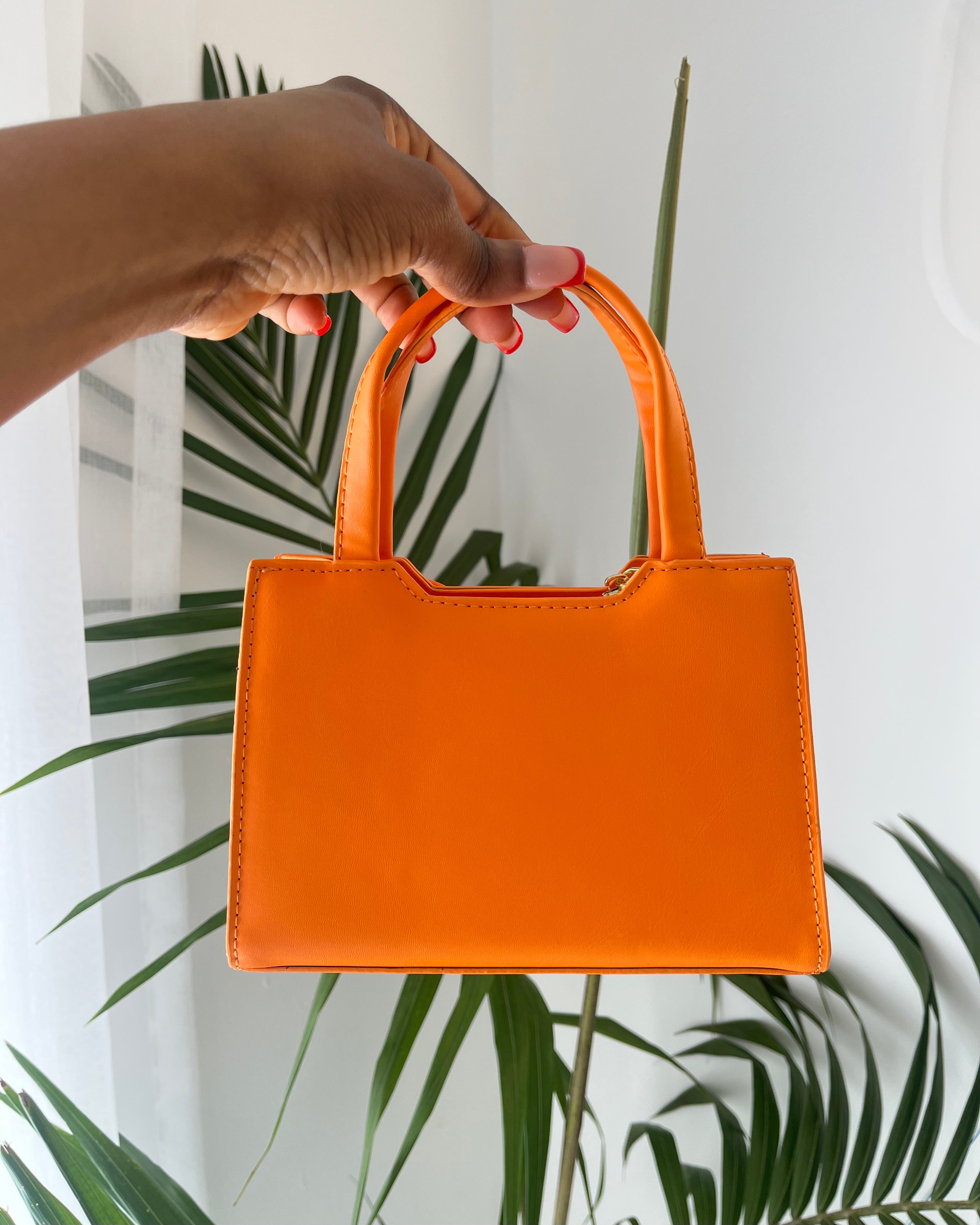 Luciana Bags