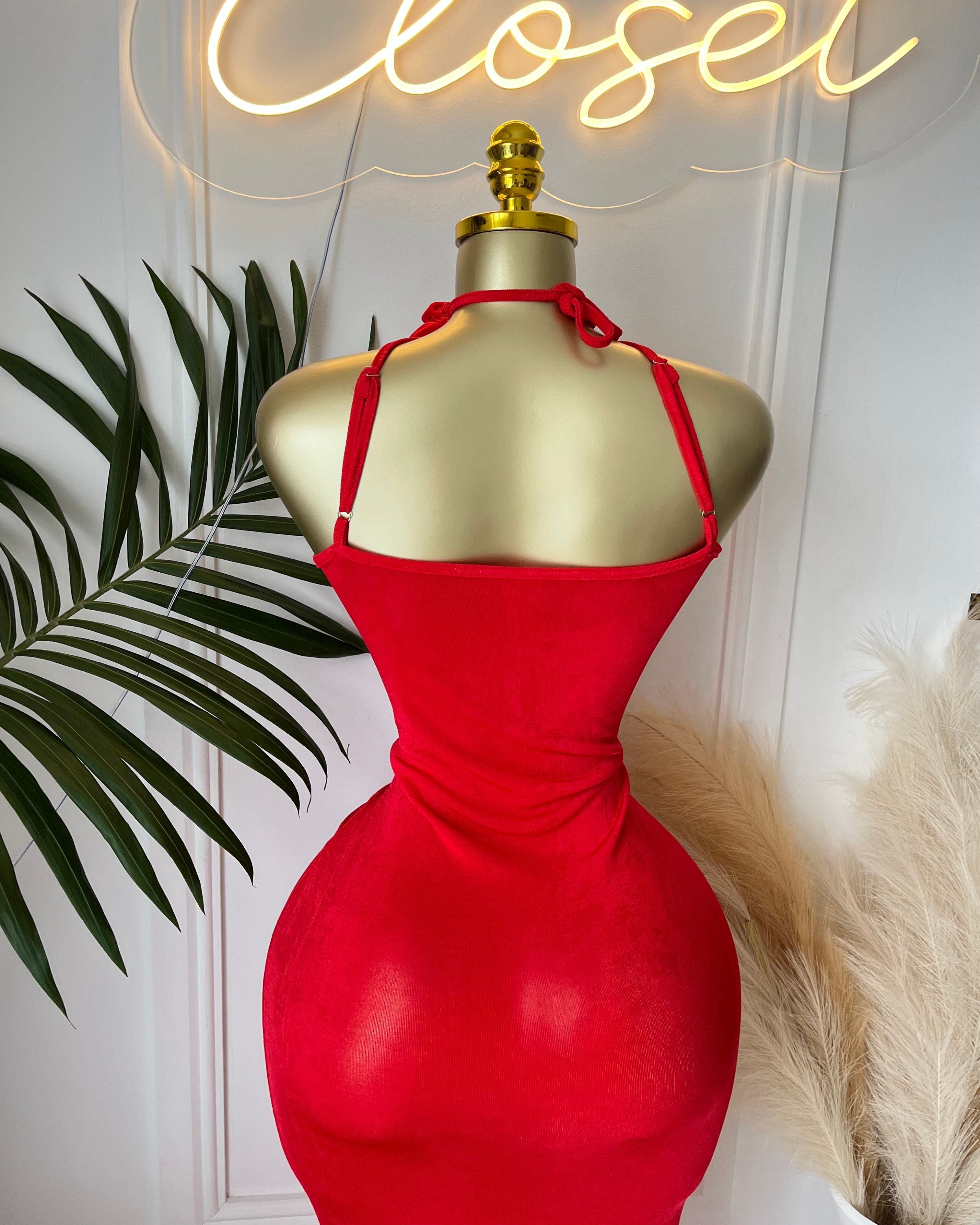 Scarlet Rose Maxi Dress