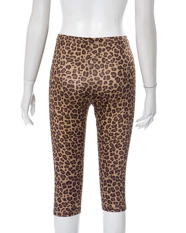 Cleo Leopard Leggings