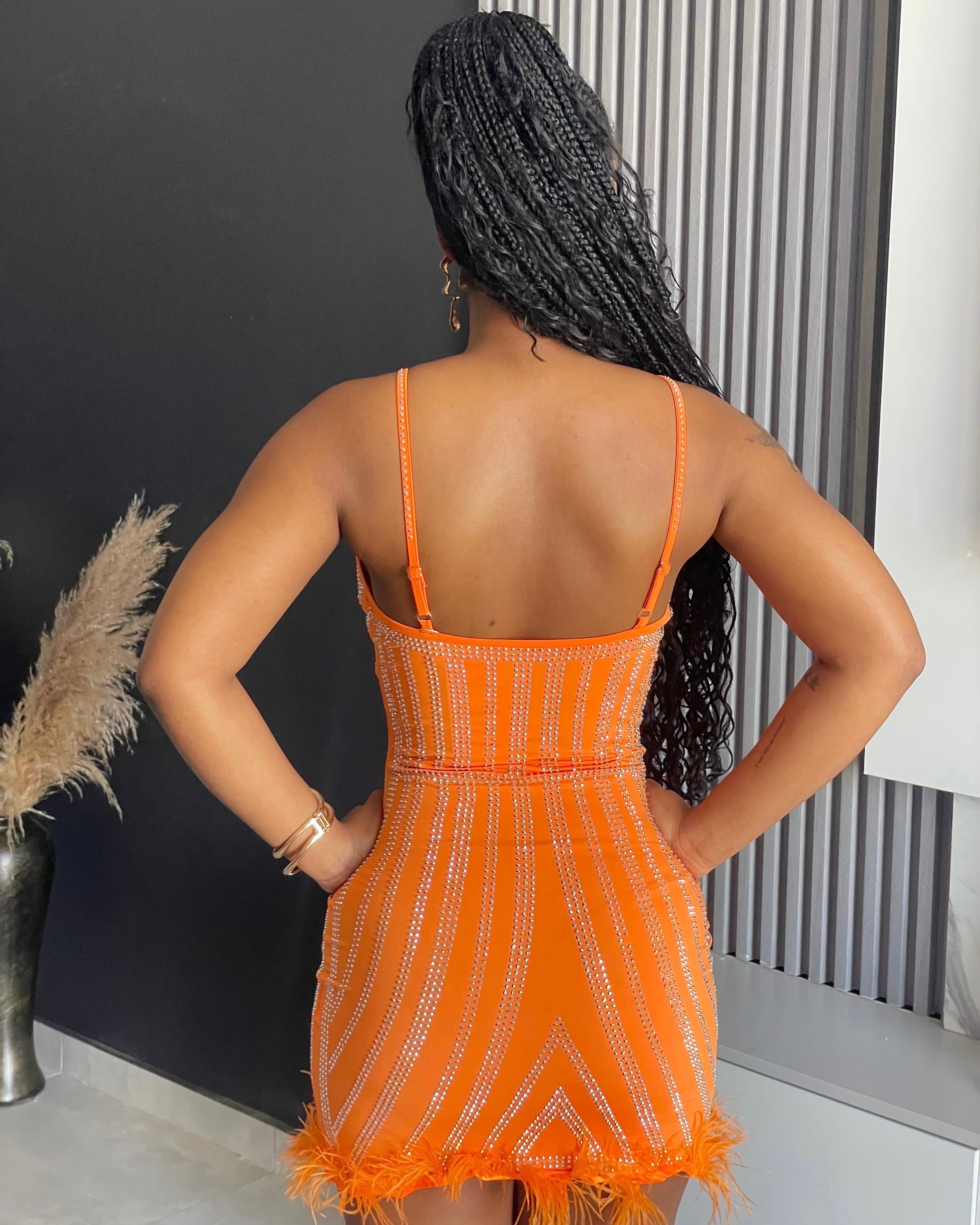 Forever Feathered Mini Dress